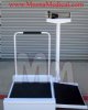 Detecto 495 Mechanical Wheelchair Scale