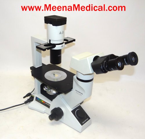 Olympus CKX-41 Inverted Microscope